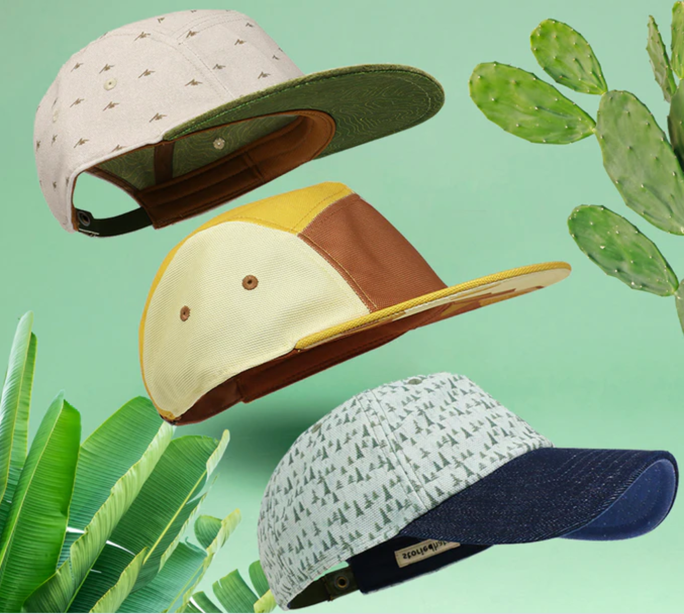 Crowdfunding now: algae hats and insect pet food