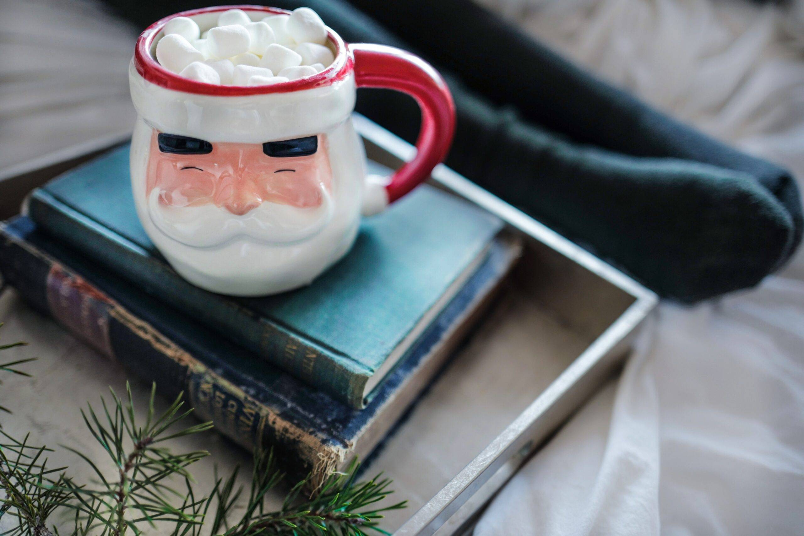 The ultimate Christmas reading list for bookworms and their loved ones