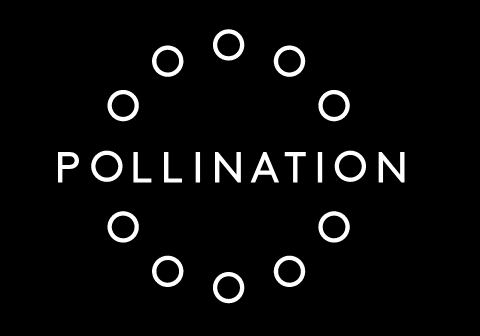 Pollination Logo