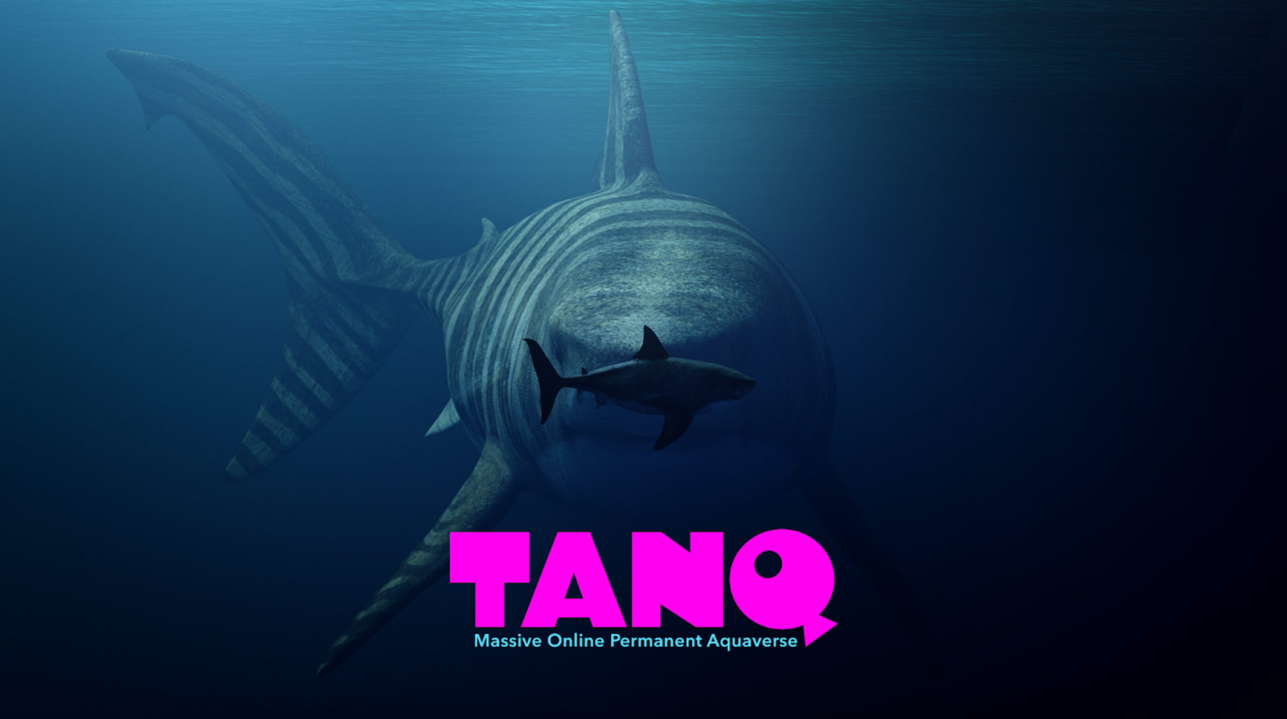 An aquatic universe waiting for you to dive in… TANQ — THE AQUAVERSE
