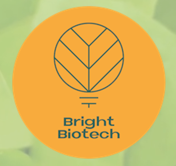 Bright Biotech Logo
