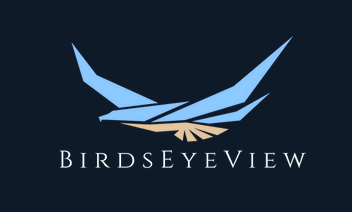 BirdsEyeView Logo