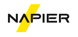 Napier AI Logo